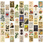 Load image into Gallery viewer, Vintage Botanical Illustration Tarot Picture Art
