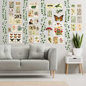 45Pcs Vintage Botanical Wall Collage Aesthetic with Fake Vines Poster Photo  Art Print Colorful Pictures Collage Bedroom Decor